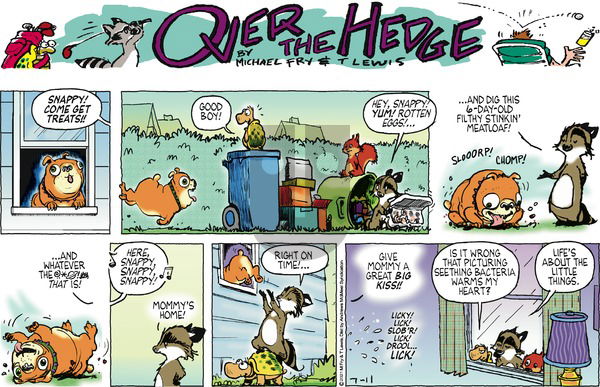 Over the Hedge on Sunday July 11, 2021 Comic Strip