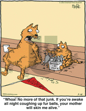 In the Bleachers on Friday March 28, 2003 Comic Strip