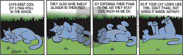 Arlo and Janis on Friday July 26, 2019 Comic Strip