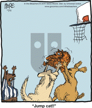 In the Bleachers on Thursday November 13, 2014 Comic Strip
