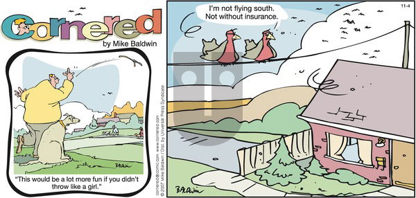 Cornered on Sunday November 4, 2007 Comic Strip