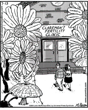 Close to Home on Tuesday July 13, 2004 Comic Strip