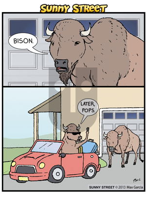 Sunny Street on Thursday November 21, 2013 Comic Strip