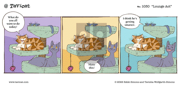 @Tavicat on Wednesday March 19, 2025 Comic Strip