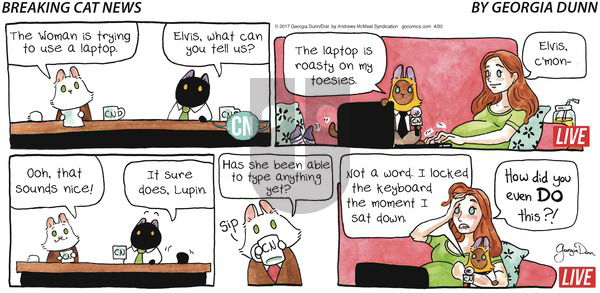Breaking Cat News on Sunday April 30, 2017 Comic Strip