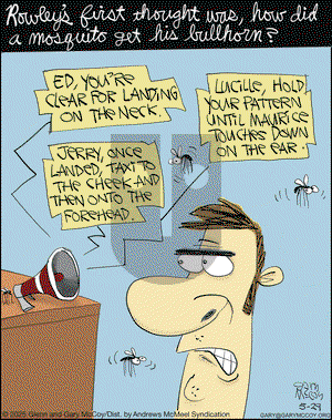 The Flying McCoys on Thursday May 29, 2025 Comic Strip