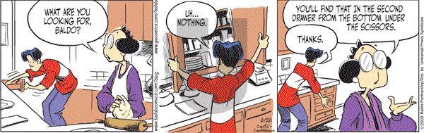 Baldo - Friday June 26, 2009 Comic Strip