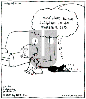 Kit 'N' Carlyle on Saturday October 20, 2001 Comic Strip