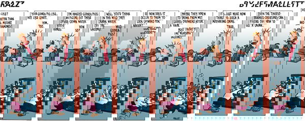 Frazz on Sunday July 8, 2001 Comic Strip