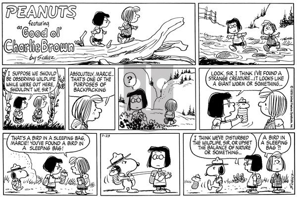 Peanuts on Sunday July 23, 1978 Comic Strip