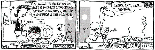 The Duplex on Wednesday March 18, 1998 Comic Strip