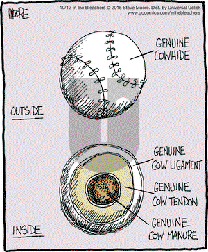 In the Bleachers on Monday October 12, 2015 Comic Strip