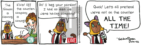 Breaking Cat News on Monday January 22, 2018 Comic Strip