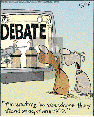 The Flying McCoys on Wednesday November 16, 2011 Comic Strip