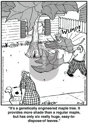 Close to Home on Thursday October 15, 1998 Comic Strip