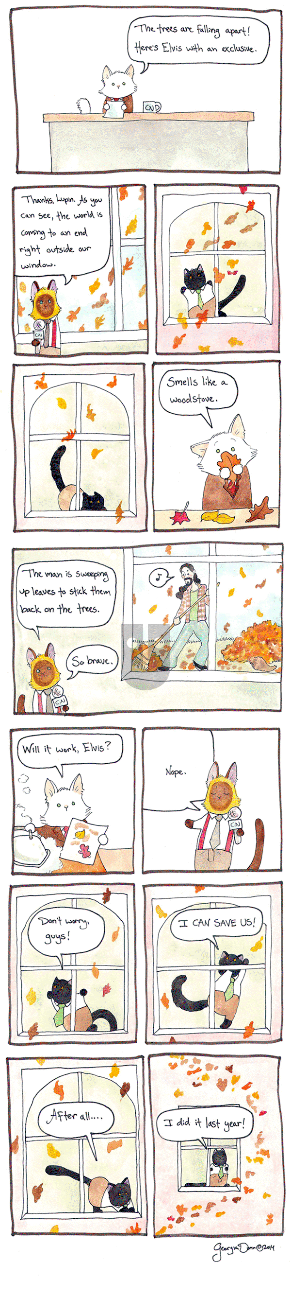Breaking Cat News on Friday October 14, 2016 Comic Strip