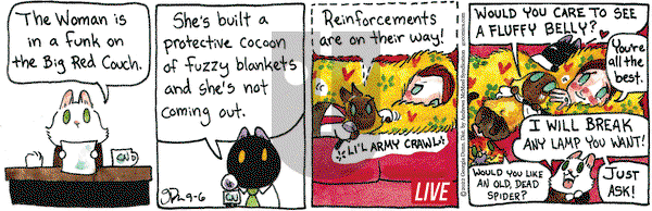 Breaking Cat News - Tuesday September 6, 2022 Comic Strip