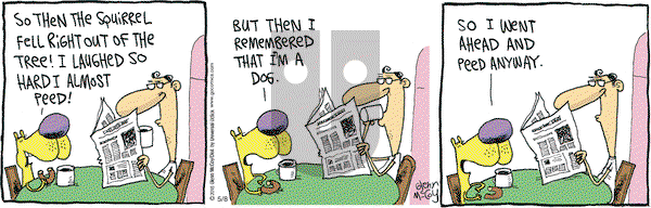 The Duplex on Friday May 8, 2015 Comic Strip