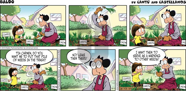 Baldo on Sunday September 4, 2016 Comic Strip