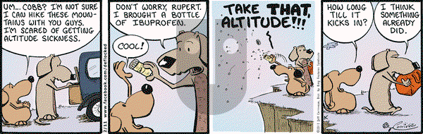 DeFlocked on Monday February 11, 2013 Comic Strip