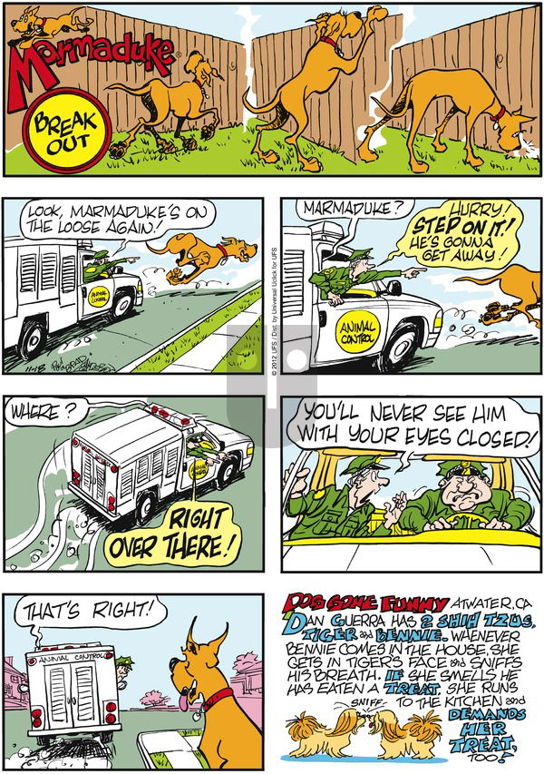 Marmaduke on Sunday November 18, 2012 Comic Strip