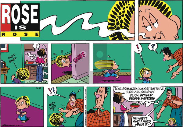 Rose is Rose on Sunday May 19, 2013 Comic Strip