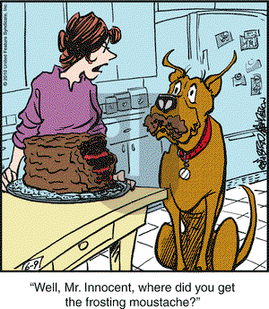 Marmaduke on Wednesday June 9, 2010 Comic Strip