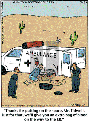 Close to Home on Thursday July 24, 2025 Comic Strip