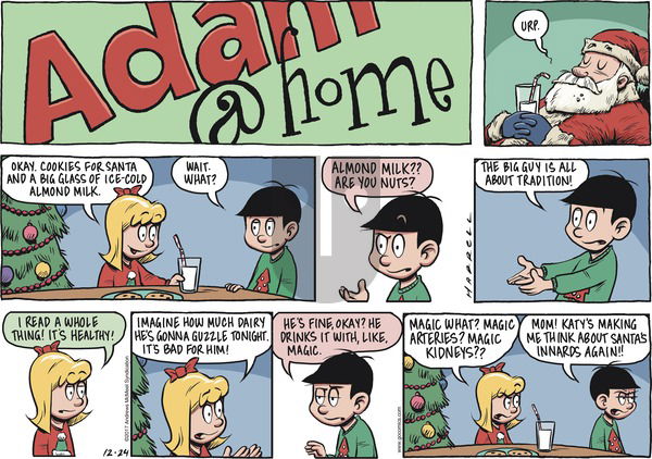 Adam@Home on Sunday December 24, 2017 Comic Strip