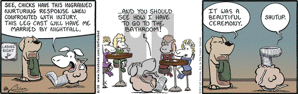 DeFlocked on Tuesday June 26, 2012 Comic Strip