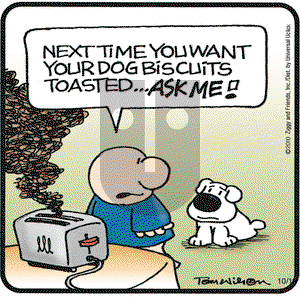 Ziggy on Friday October 1, 2010 Comic Strip