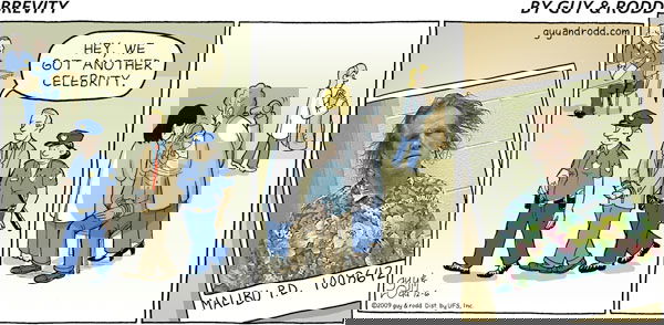 Brevity on Sunday December 6, 2009 Comic Strip