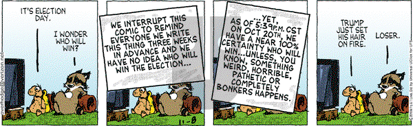Over the Hedge on Tuesday November 8, 2016 Comic Strip