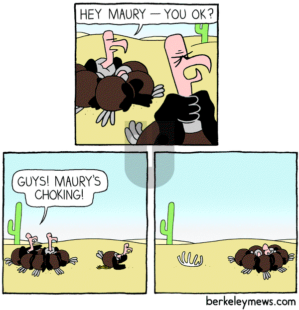 Berkeley Mews on Monday March 16, 2015 Comic Strip