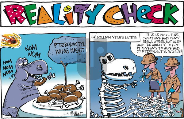 Reality Check - Sunday January 19, 2025 Comic Strip