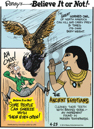 Ripley's Believe It or Not on Wednesday April 23, 2014 Comic Strip