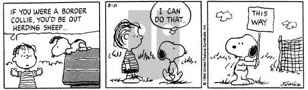 Peanuts on Wednesday August 31, 1994 Comic Strip