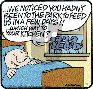 Ziggy on Monday August 24, 2020 Comic Strip