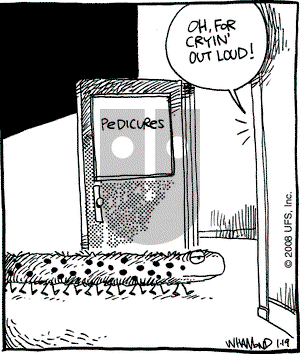 Reality Check on Saturday January 19, 2008 Comic Strip
