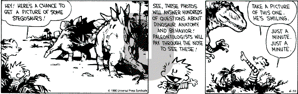 Calvin and Hobbes - Saturday June 30, 1990 Comic Strip