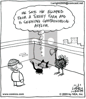 Kit 'N' Carlyle on Monday November 21, 2005 Comic Strip