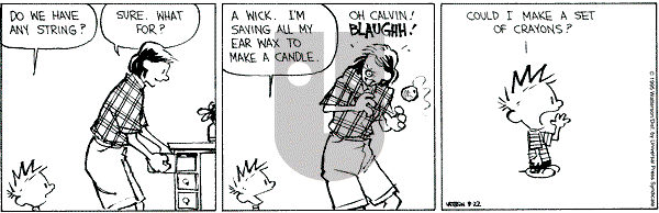 Calvin and Hobbes - Tuesday August 22, 1995 Comic Strip
