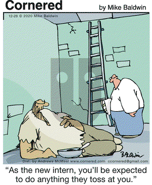 Cornered on Monday December 28, 2020 Comic Strip