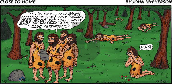 Close to Home - Sunday January 19, 2025 Comic Strip