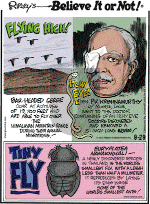 Ripley's Believe It or Not on Saturday September 29, 2012 Comic Strip
