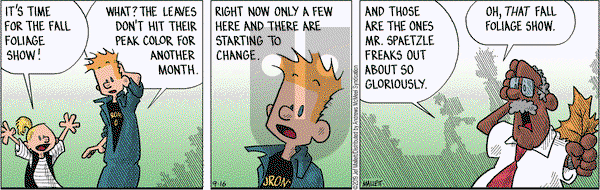 Frazz on Monday September 16, 2019 Comic Strip