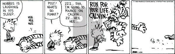 Calvin and Hobbes - Saturday June 26, 1993 Comic Strip