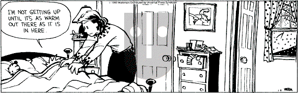 Calvin and Hobbes - Monday January 4, 1993 Comic Strip