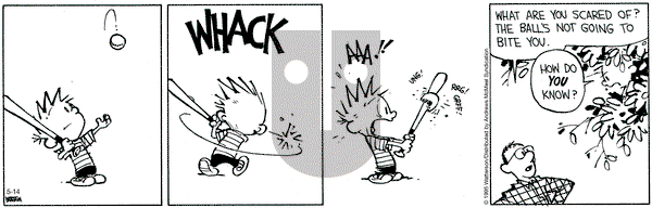 Calvin and Hobbes on Wednesday May 14, 2025 Comic Strip