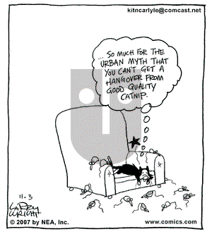 Kit 'N' Carlyle on Saturday November 3, 2007 Comic Strip